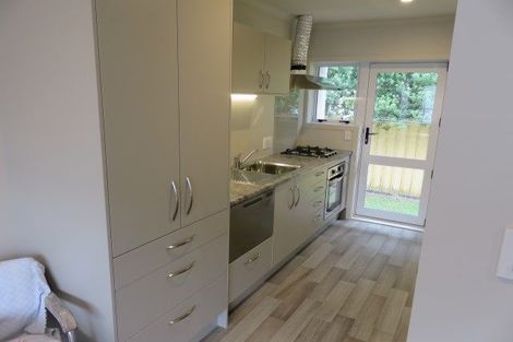 Photo of property in 41 Norton Road, Frankton, Hamilton, 3204