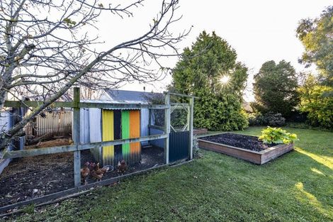 Photo of property in 61 Ashley Street, Rangiora, 7400