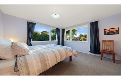 Photo of property in 251a Lyttelton Street, Spreydon, Christchurch, 8024