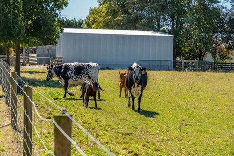 Photo of property in 645 Tancreds Road, Lincoln, Christchurch, 7676