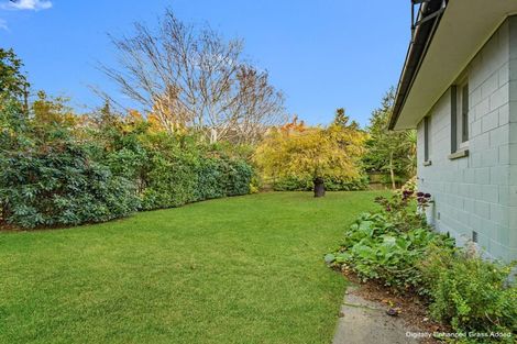 Photo of property in 14 Acheron Avenue, Lake Coleridge, 7572