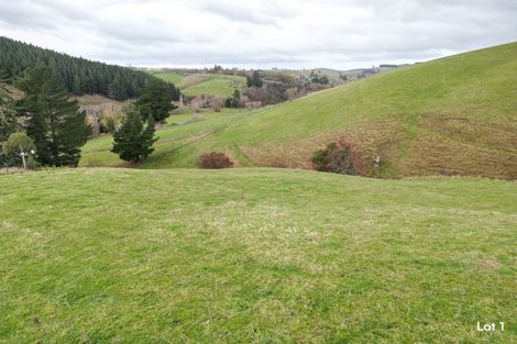 Photo of property in 65 Gabriels Gully Road, Lawrence, 9593