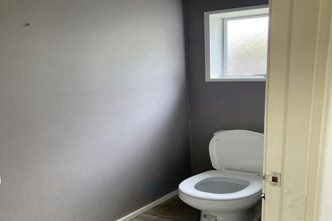 Photo of property in 34 Mcmeekan Avenue, Chartwell, Hamilton, 3210