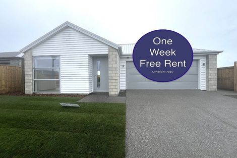 Photo of property in 24 Ellmers Street, Woodend, 7691