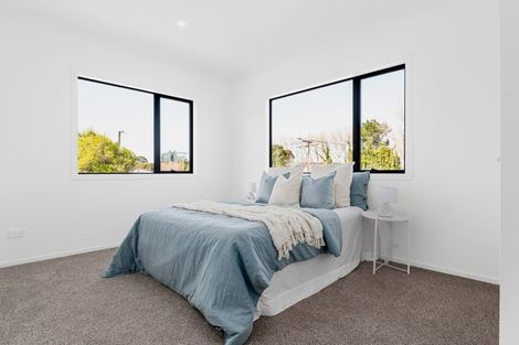 Photo of property in 146u1 Rimu Street, Maeroa, Hamilton, 3200
