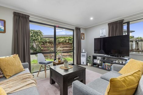 Photo of property in 31u9 Jones Crescent, Melville, Hamilton, 3206