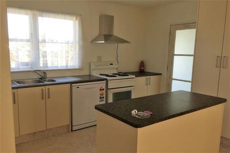 Photo of property in 45 Graham Street, Levin, 5510