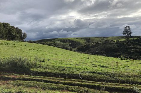 Photo of property in 698 Pungaere Road, Waipapa, Kerikeri, 0295