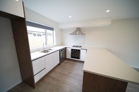 Photo of property in 9u1 Maitland Street, Frankton, Hamilton, 3204