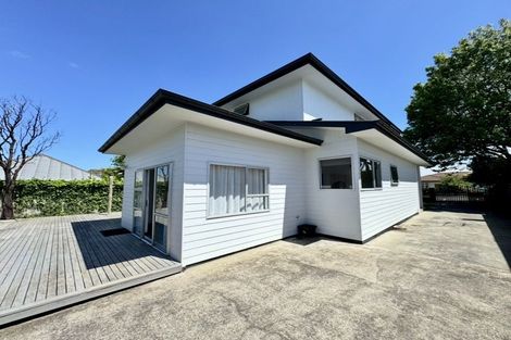 Photo of property in 313 Ruahine Street, Terrace End, Palmerston North, 4410