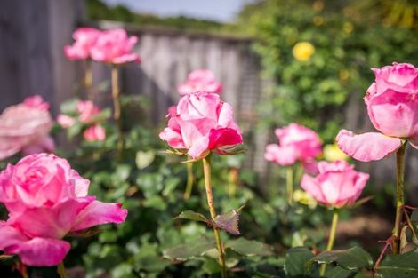 Photo of property in 73 Makarini Street, Paraparaumu, 5032