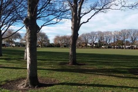 Photo of property in 31 Buffon Street, Waltham, Christchurch, 8023