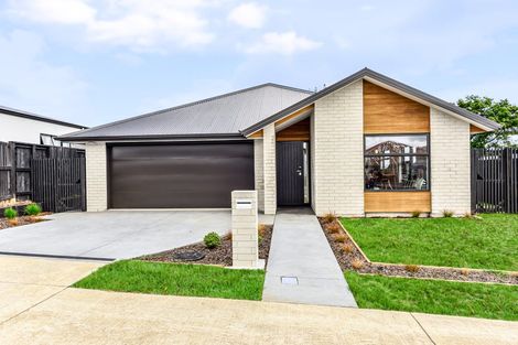 Photo of property in 10 Oralee Terrace, Peacocke, 3206