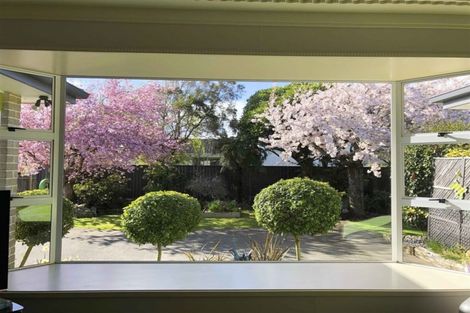 Photo of property in 251 Talbot Street, Hargest, Invercargill, 9810