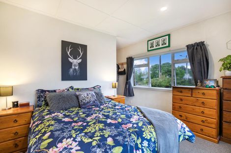 Photo of property in 29 Montgomery Avenue, Pukekohe, 2120