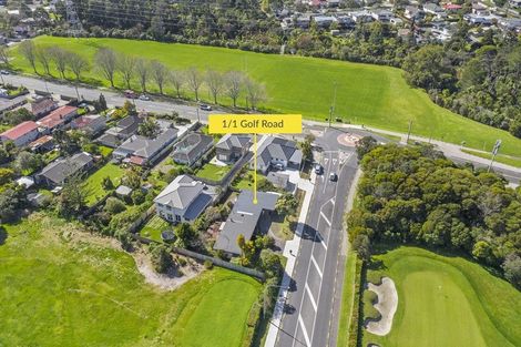 Photo of property in 1 Golf Road, New Lynn, Auckland, 0600