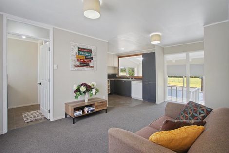 Photo of property in 550 Waiau Pa Road, Waiau Pa, Pukekohe, 2679