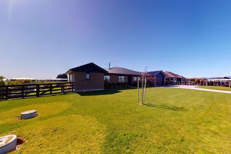 Photo of property in 14 Fallow Avenue, Feilding, 4775