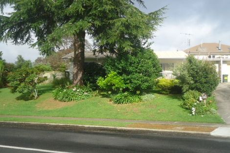 Photo of property in 57b Neal Street, Putaruru, 3411