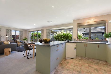 Photo of property in 6 Pepper Tree Way, The Wood, Nelson, 7010