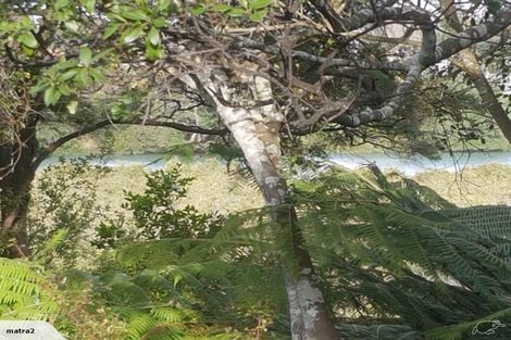 Photo of property in 157e Colwill Road, Massey, Auckland, 0614