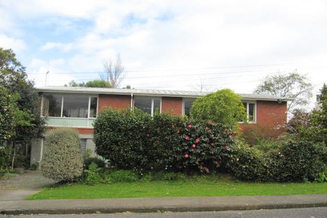 Photo of property in 9 Argyle Avenue, Levin, 5510