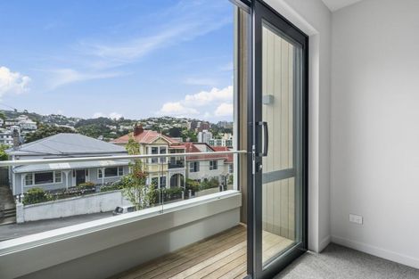Photo of property in 25b Thompson Street, Mount Cook, Wellington, 6011