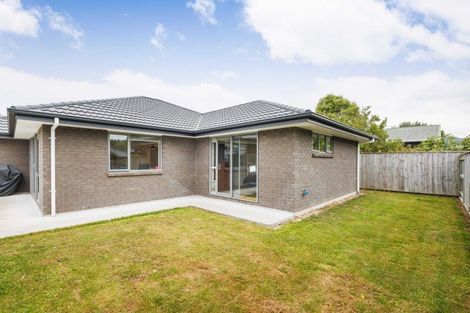Photo of property in 71 North Street, Palmerston North, 4410
