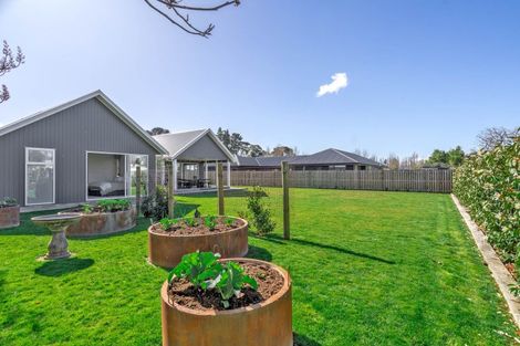 Photo of property in 8 Matai Grove, Greytown, 5712