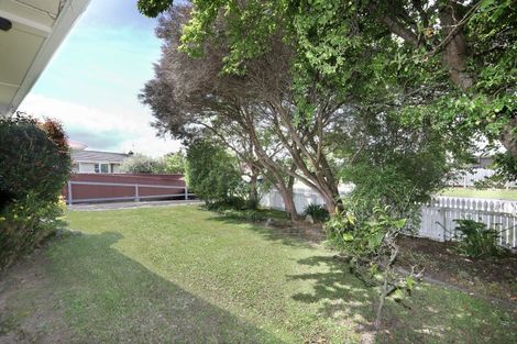 Photo of property in 88 Rugby Street, Awapuni, Palmerston North, 4412