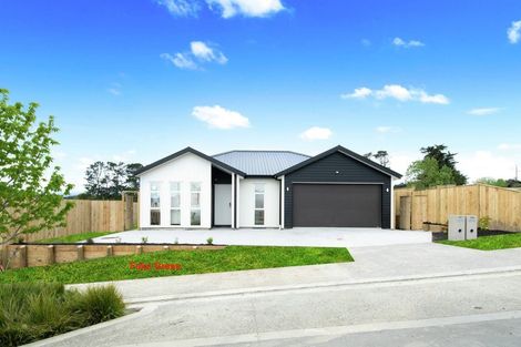 Photo of property in 17 Minerva Avenue, Helensville, 0800