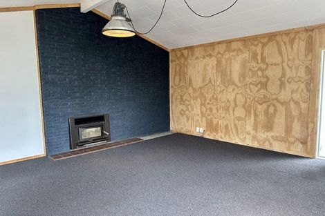 Photo of property in 137 Winchester Street, Ashhurst, 4810