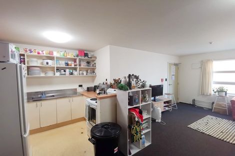 Photo of property in Drummond Street Flats, 19u1 Drummond Street, Mount Cook, Wellington, 6021