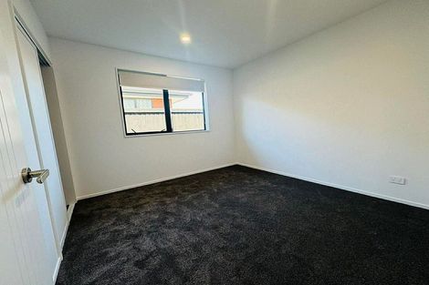 Photo of property in 17 Akoranga Place, Hornby, Christchurch, 8042