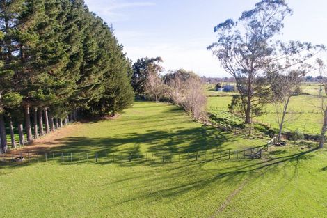 Photo of property in 62 Nga Tawa Road, Marton, 4787