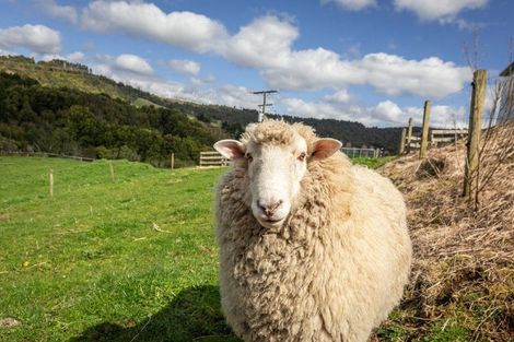 Photo of property in 451 Woodlands Road, Waihi, 3682