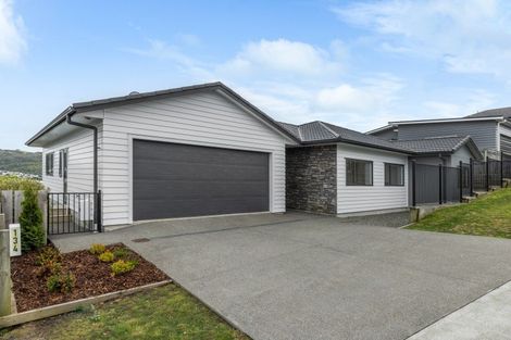 Photo of property in 134 John Burke Drive, Aotea, Porirua, 5024