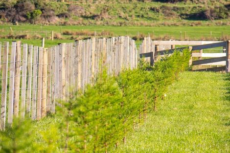 Photo of property in 349 Haringa Road, Carrington, Carterton, 5791