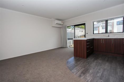 Photo of property in 18u7 Hunter Street, Hamilton Lake, Hamilton, 3204