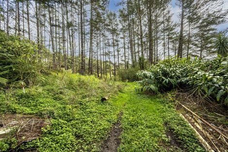 Photo of property in 53 Red Hills Road, Massey, Auckland, 0614