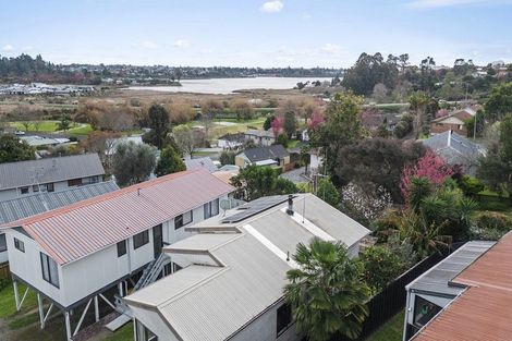 Photo of property in 101b Ohauiti Road, Hairini, Tauranga, 3112