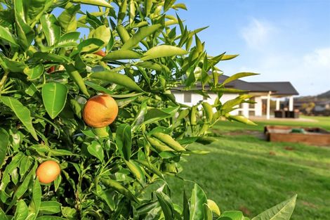 Photo of property in 21 Corsair Drive, Maungatapere, Whangarei, 0179