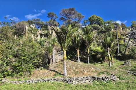 Photo of property in 1797 Colville Road, Amodeo Bay, Coromandel, 3584
