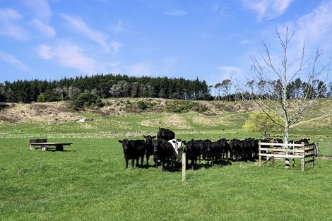Photo of property in 3005 State Highway 30, Rotoma, Whakatane, 3192