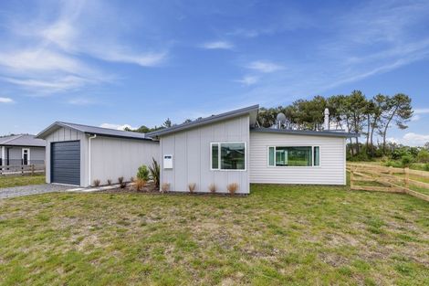 Photo of property in 64 John Norrie Place, Motuoapa, Turangi, 3382