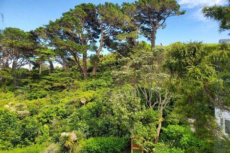 Photo of property in 63 Alexandra Road, Hataitai, Wellington, 6021