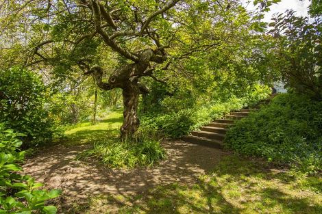 Photo of property in 7 Westridge Drive, Tauriko, Tauranga, 3110