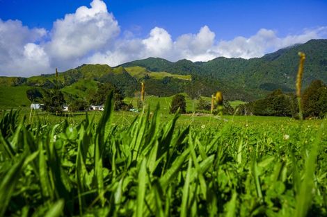 Photo of property in 5196 State Highway 26, Te Aroha, 3392
