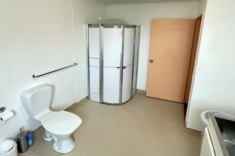 Photo of property in 20 Manchester Street, Bradford, Dunedin, 9011