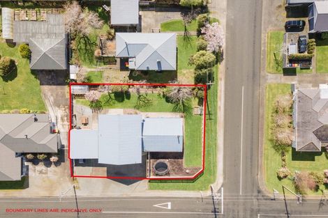 Photo of property in 226 Park Street, Winton, 9720